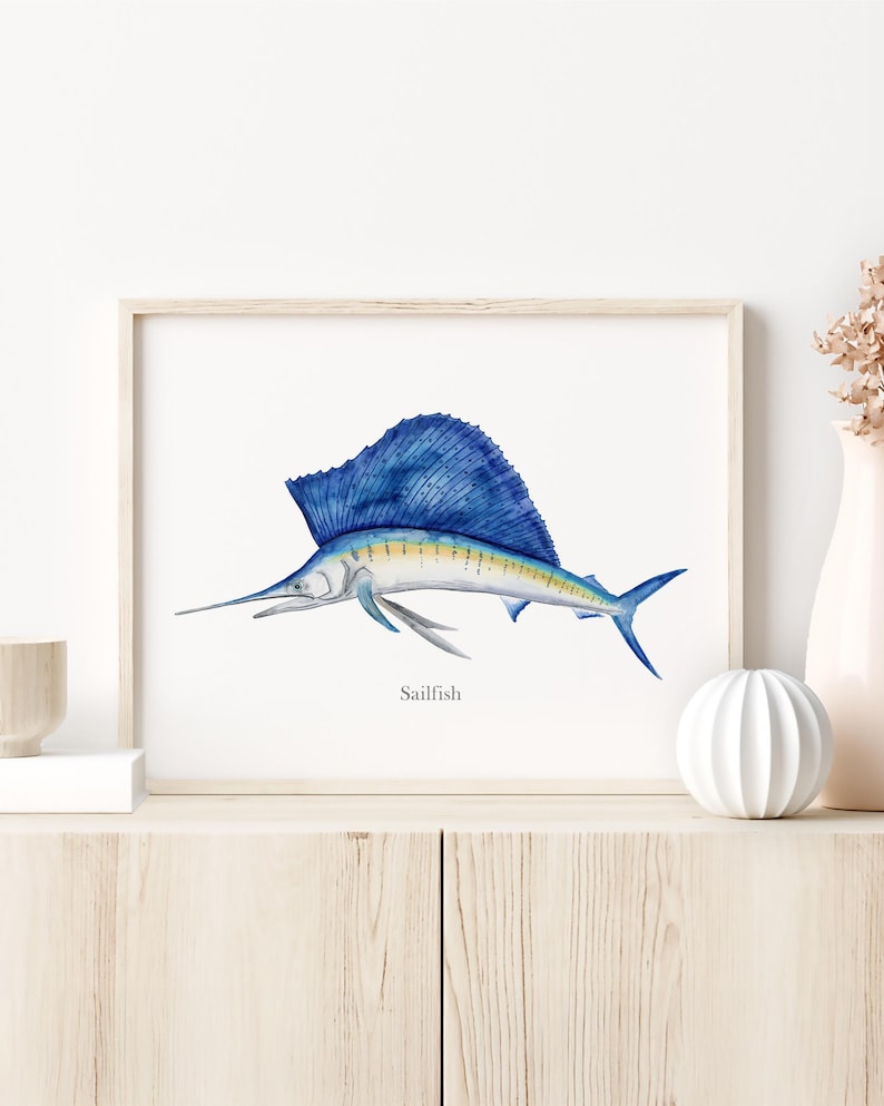 a framed illustration of a blue sailfish, which is a type of fish known for its large, fan-shaped fins and distinctive blue coloration.