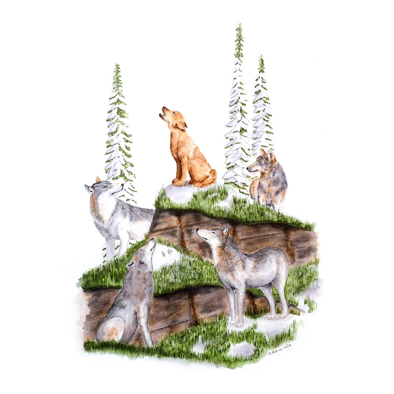 howeling wolf express howeling wolf express