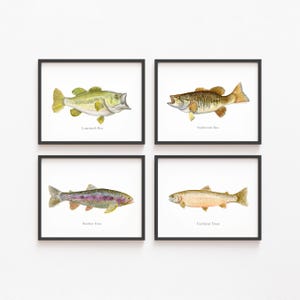 May include: Four framed watercolor prints of fish: Largemouth Bass, Smallmouth Bass, Rainbow Trout, and Cutthroat Trout. Each fish is depicted in detail with its name below. The frames are black, and the background is white.