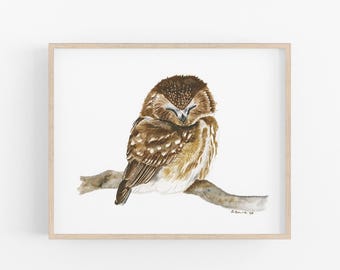 Sleeping Baby Owl Watercolor Art, Woodland Nursery Print, Gender Neutral Decor