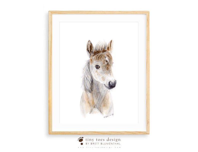May include: Watercolor painting of a brown and white foal with a soft, fluffy mane. The foal is looking to the right of the image with a gentle expression.