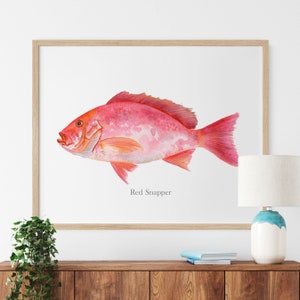 Red Snapper Wall Art, Red Snapper Print, Fish Watercolor, Gift for Fisherman, Fish Wall Decor, Deep Sea Fishing Decor, Nautical Print