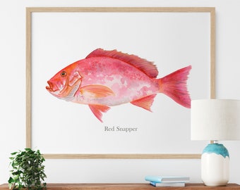 Red Snapper Wall Art, Red Snapper Print, Fish Watercolor, Gift for Fisherman, Fish Wall Decor, Deep Sea Fishing Decor, Nautical Print