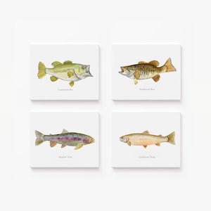 May include: Four square art prints featuring detailed illustrations of fish species: Largemouth Bass, Smallmouth Bass, Rainbow Trout, and Cutthroat Trout. Each fish is depicted in vibrant colors against a white background, perfect for a nature-themed decor.