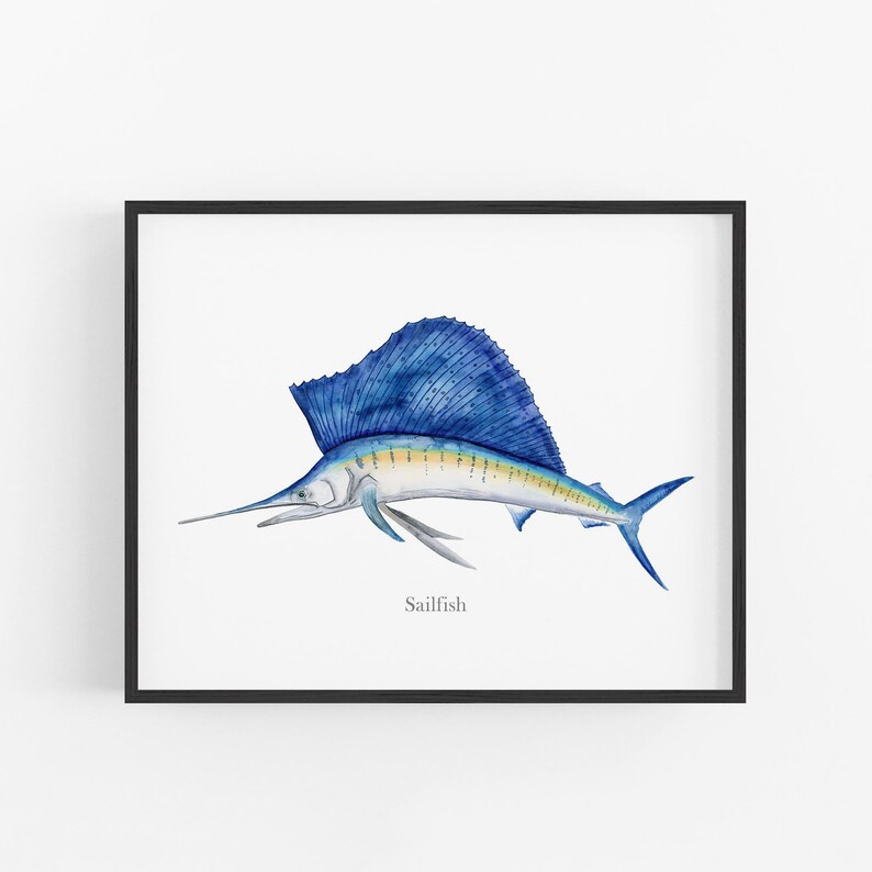 a blue sailfish with a large, blue fin and a yellow stripe running down its body.
