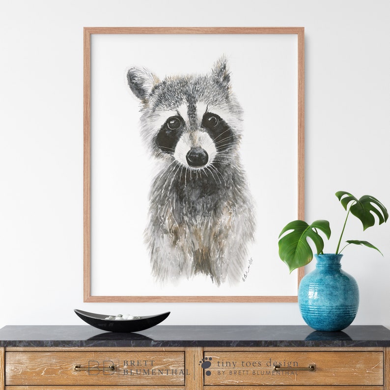 K&ouml;nnte beinhalten: Ein Aquarellbild eines Waschb&auml;ren vor wei&szlig;em Hintergrund. Der Waschb&auml;r schaut den Betrachter direkt an und hat einen neugierigen Ausdruck. Das Bild ist in einem hellen Holzrahmen gerahmt.