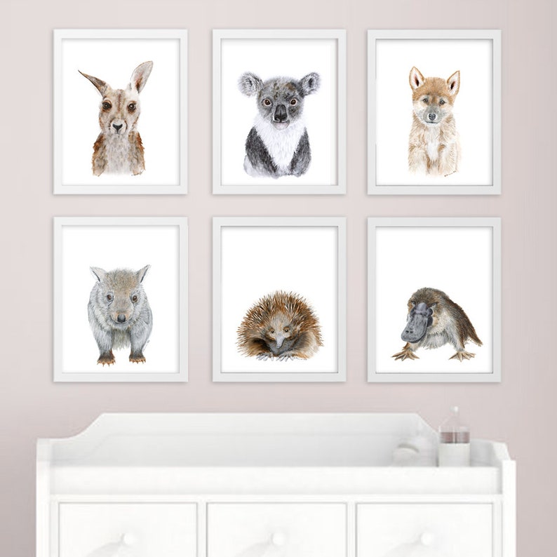 Animal Nursery Decor Baby Kangaroo Art Kangaroo Joey Print Etsy