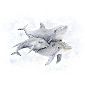 Delfin Kunstdruck, Delfin Druck, Delfin Druck, Delfin Druck, Delfin Kunstdruck, Delfin Kunstdruck, Poster fürs Kinderzimmer