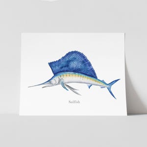 A watercolor painting of a sailfish, with the word "Sailfish" written below it.