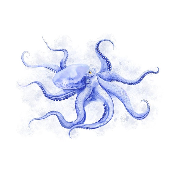 Octopus Wall Art Sea Life Art Blue Octopus Art Ocean Etsy