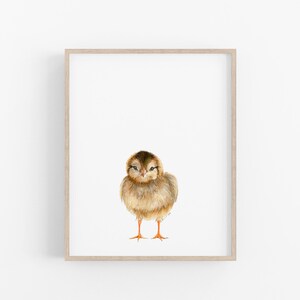 A small, brown bird with orange feet is standing in the center of the image, which is framed and displayed on a white wall.