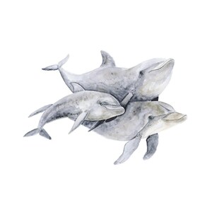 Lámina infantil Familia de delfines, arte mural de acuarela del océano imagen 3