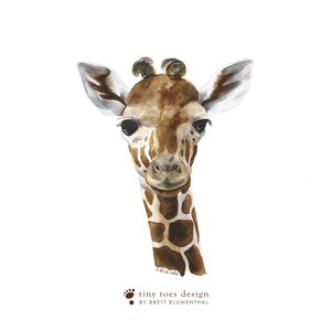 K&ouml;nnte beinhalten: Ein Aquarellbild eines Giraffenkopfes und -halses. Die Giraffe hat braune Flecken auf einem hellbraunen Hintergrund. Die Giraffe schaut direkt auf den Betrachter. Das Bild ist signiert mit "tiny toes design by Brett Blumenthal".