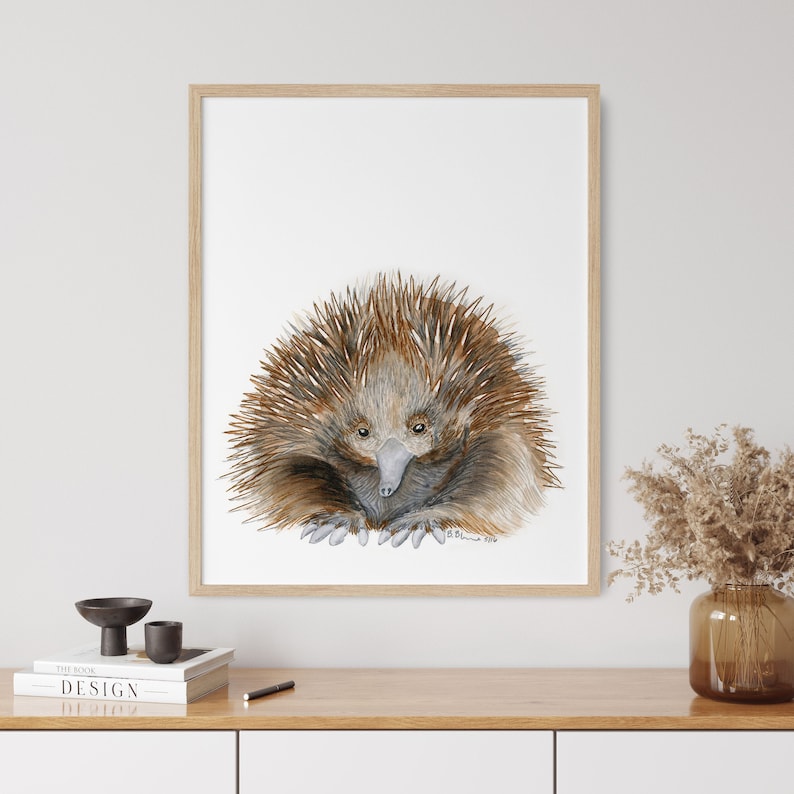 Baby Echidna Art - Australian Nursery Decor - Baby Animal Print ...