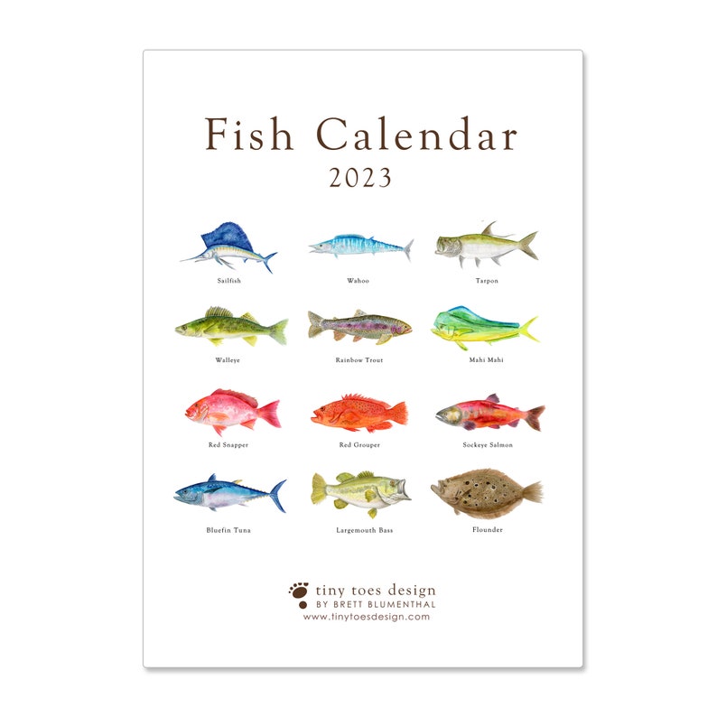 Calendar 2025 Fish Desk Calendar 2025 Fish Calendar Desk Etsy