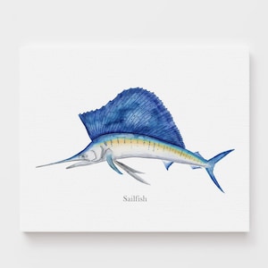A watercolor painting of a sailfish, with its distinctive blue body and white fins, depicted in a realistic style.