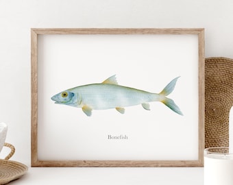 Bonefish Deep Sea Fishing Watercolor Art Print | Ocean Fisherman and Angler Gift |  Fish Scientific Illustration | Beach House Decor