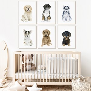 May include: Six watercolor paintings of different dog breeds, each framed in a white frame. The paintings are arranged in a grid of two rows and three columns. The dogs are all puppies and are sitting in a variety of poses. The paintings are all on a white background.