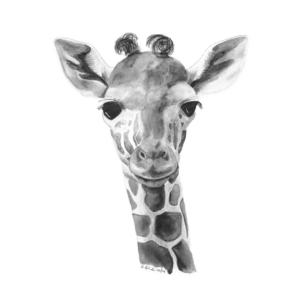 Safari Nursery Decor Black and White Safari Animals Nursery Etsy