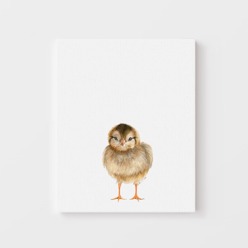 A small brown bird with orange feet is standing on a white background.