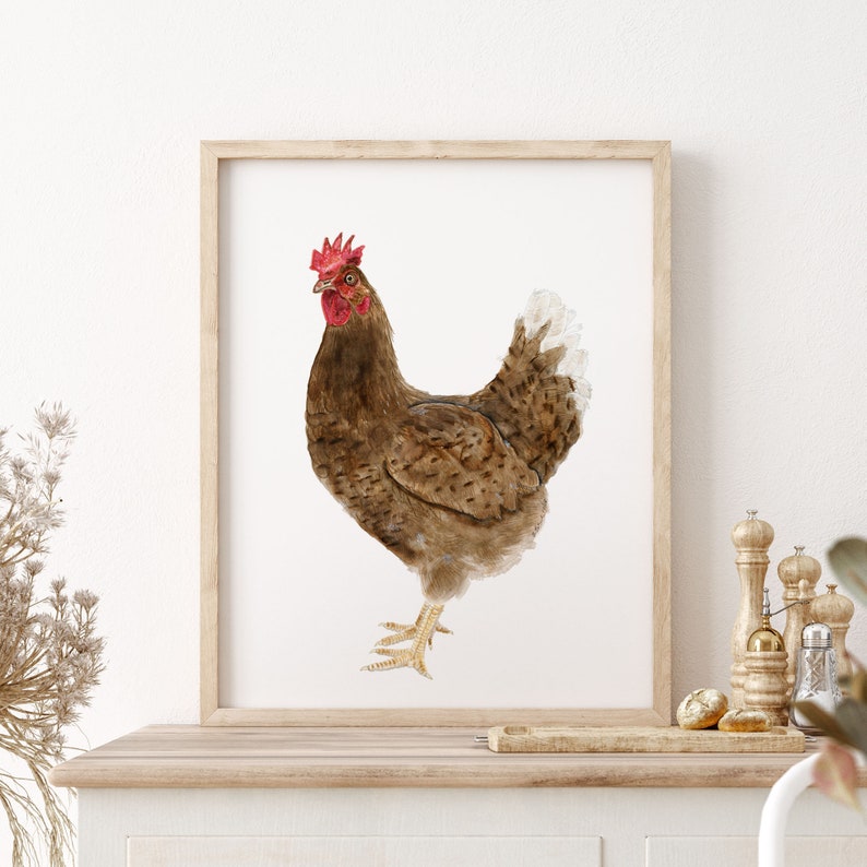 May include: Watercolor painting of a brown hen with a red comb and white feathers on its tail. The hen is standing on a white background.