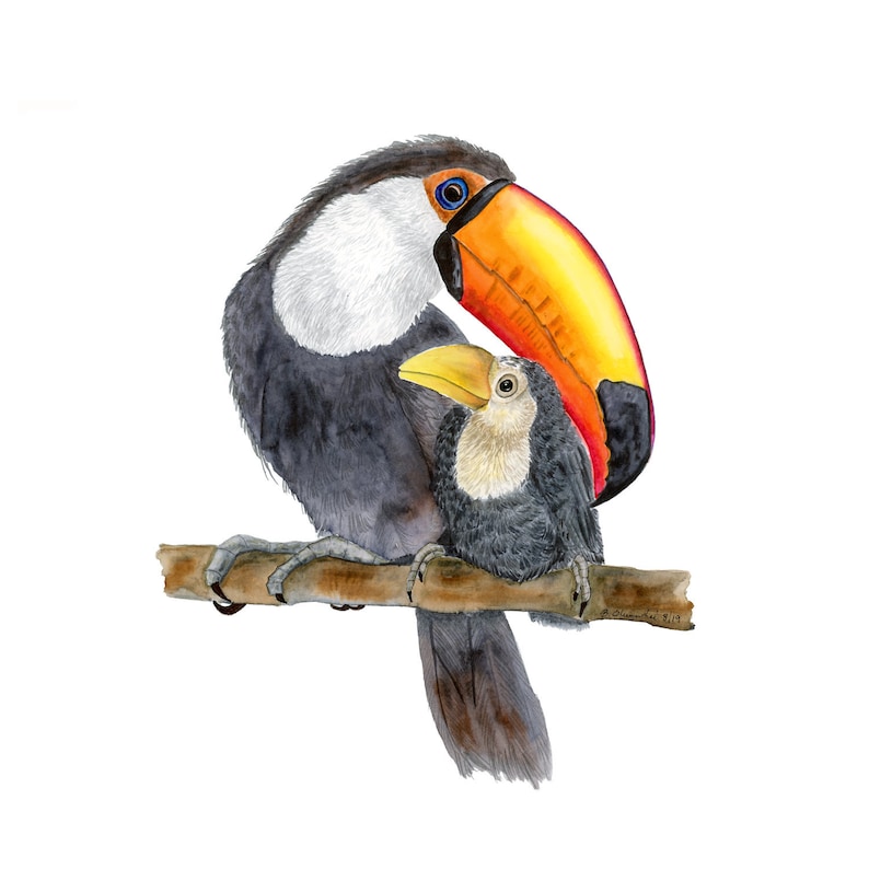 Toucan Watercolor, Toucan Bird Print, Jungle Nursery Art, Rainforest Animals, Bird Painting, Rainforest Bird Art, Orange, Red, Yellow image 4