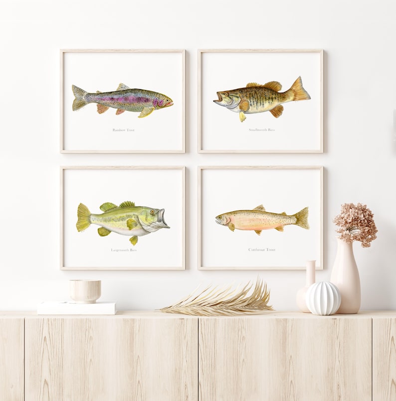 May include: Four framed watercolor prints of fish: Rainbow Trout, Smallmouth Bass, Largemouth Bass, and Cutthroat Trout. Each fish is depicted in detail with its name below. The prints are displayed on a light-colored wooden cabinet.