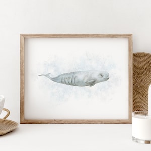 Beluga, Whale Print, Beluga Wall Art, Sea Canaries, White Whale Illustration, Belukha Whale Art, Whale Nursery Decor, Arctic Sea Life Print