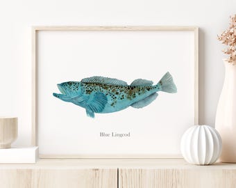 Blue Lingcod Watercolor Print, Pacific Coast Fish Wall Art, Coastal Decor