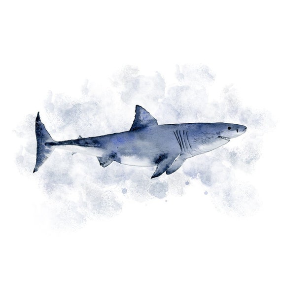 Shark Nursery Decor Great White Shark Bathroom Decor Shark Etsy