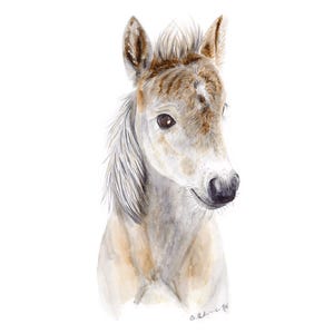 Set van 4 prints met boerderijdieren, muurdecoratie in boerderijstijl voor de kinderkamer. afbeelding 2