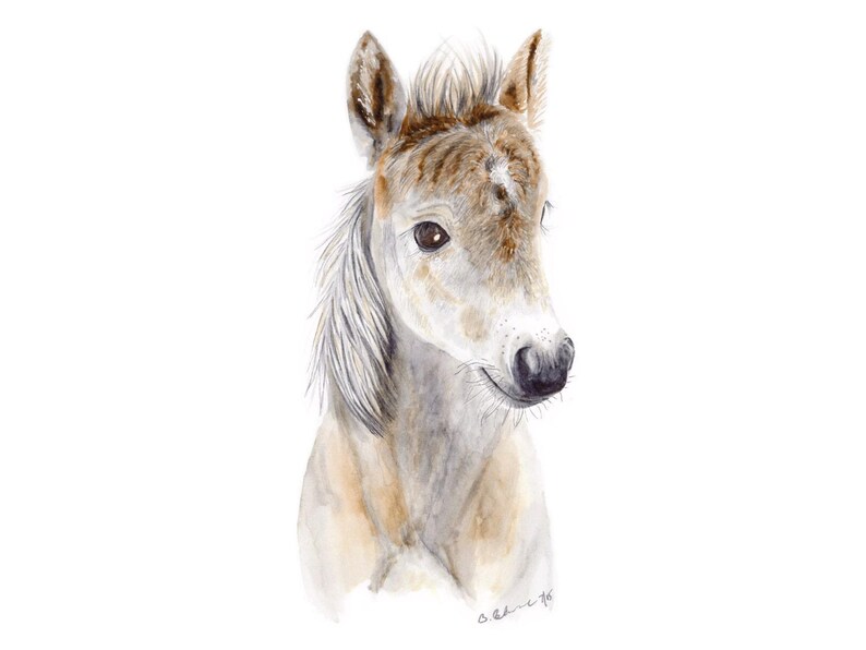 Set van 4 prints met boerderijdieren, muurdecoratie in boerderijstijl voor de kinderkamer. afbeelding 2