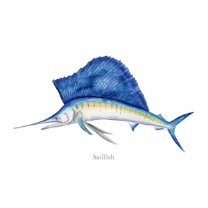 Sailfish Watercolor Print, Fish Wall Art, Deep Sea Fishing Decor Text