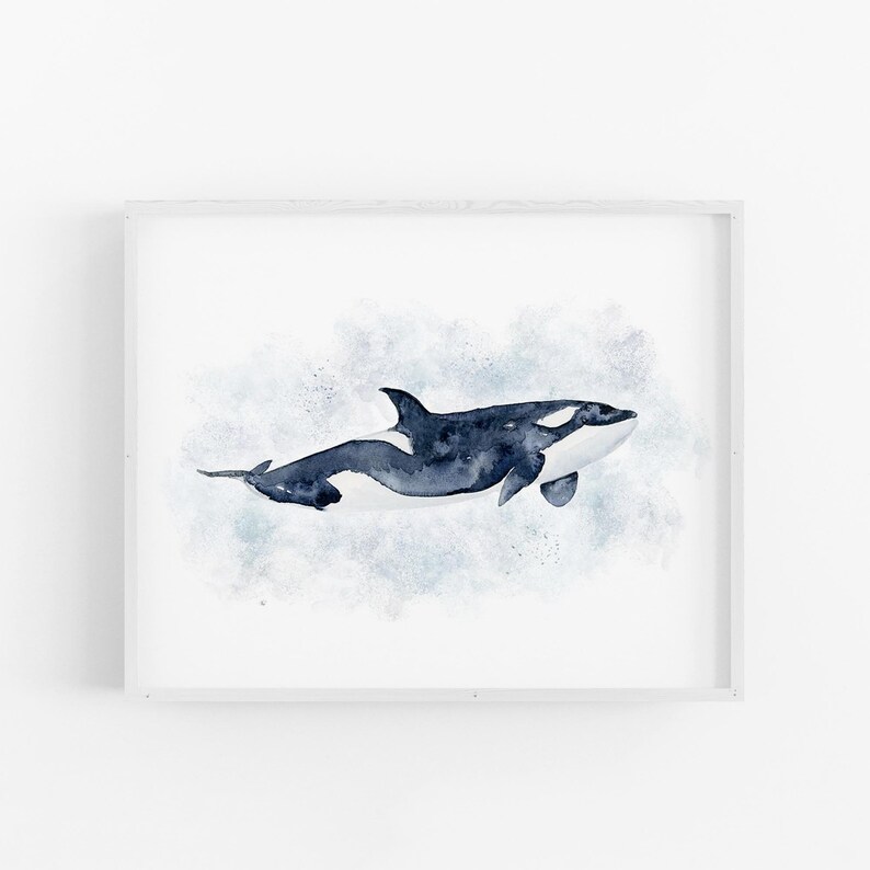 A framed watercolor painting depicting a black and white orca whale swimming in the ocean.