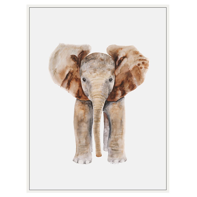 CANVAS Nursery Art Elephant Nursery Decor Gallery Wrapped Etsy