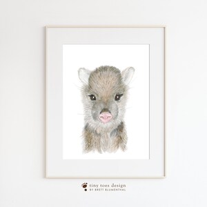 Baby Javelina Art, Southwest Nursery Decor, Javelina Watercolor, Javelina Painting, Desert Animal Print, Baby Animal, Central America image 3