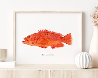 May include: Watercolor print of a Red Grouper fish in shades of red and orange, with small black spots. The fish is displayed in a light wood frame, with the words "Red Grouper" below the image. The print is displayed on a white wall.