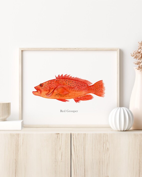 アートパネル　レッドフィッシュ Red Grouper Watercolor Print, Fish Wall Art, Sport Fishing Decor