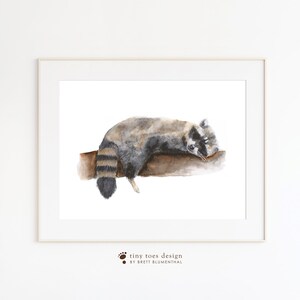 May include: Watercolour painting of a raccoon sleeping on a branch. The raccoon is grey and black with a bushy tail. The background is white.