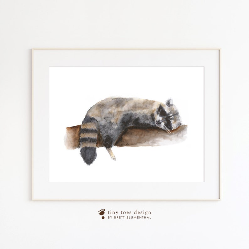 May include: Watercolour painting of a raccoon sleeping on a branch. The raccoon is grey and black with a bushy tail. The background is white.