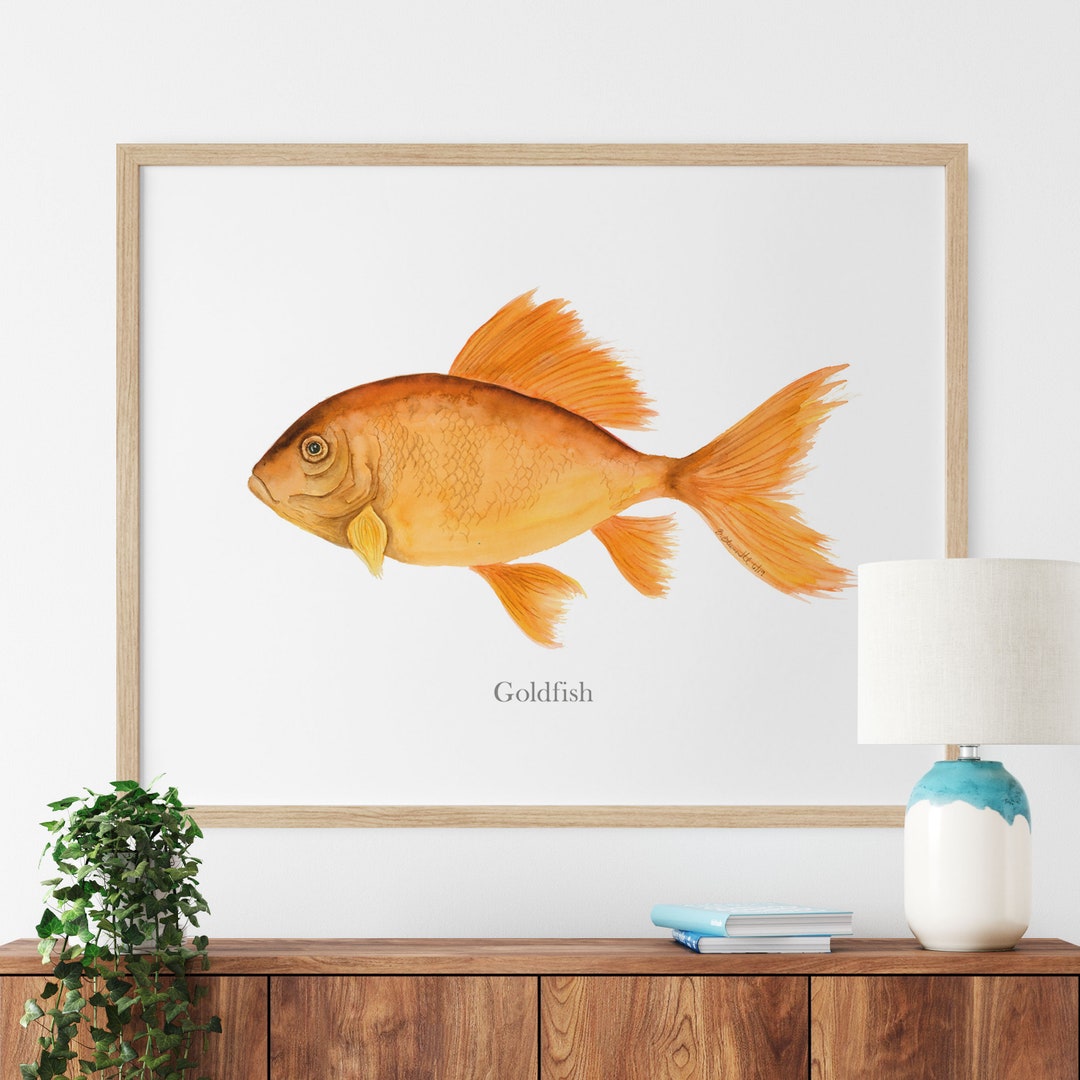Goldfish Watercolor, Fish Print, Goldfish Art Print, Fishing Gifts for ...