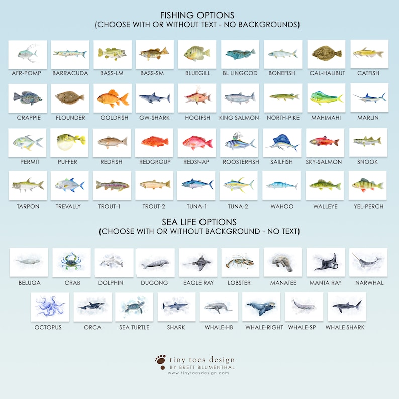 May include: An illustrated print featuring various fish and sea life options, including a barracuda, crab, dolphin, and shark. Text at the top reads "FISHING OPTIONS" and "SEA LIFE OPTIONS". The artist's name and website are at the bottom.