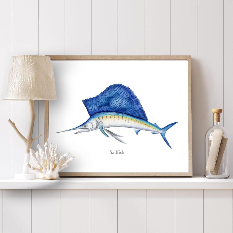 Sailfish Watercolor Print, Fish Wall Art, Deep Sea Fishing Decor image 3