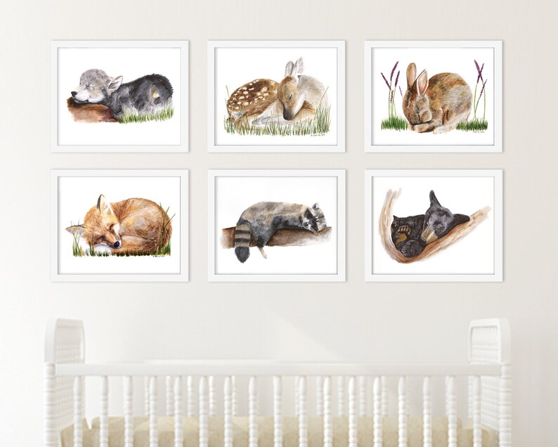 May include: Six framed watercolour paintings of sleeping woodland animals. The animals include a wolf, a deer, a rabbit, a fox, a raccoon, and a bear. Each animal is depicted in a natural setting with soft colours and details.
