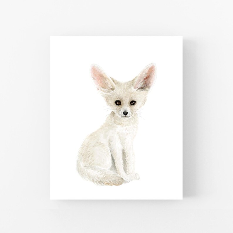 A white fox sitting on its hind legs, looking directly at the camera.