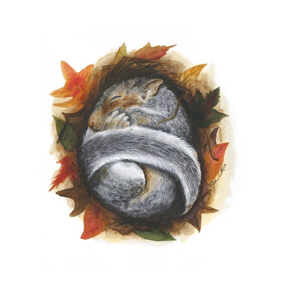 Baby Squirrel Print, Woodland Animal Nursery Art, Woodland Nursery Decor, Baby Animal Art, Cute Nursery Print, Fall Decor, Sleeping Animal