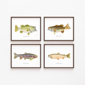 May include: Four framed watercolor prints of fish: Largemouth Bass, Smallmouth Bass, Rainbow Trout, and Cutthroat Trout. Each fish is depicted in detail with its name below. The frames are dark brown, and the background is white.