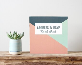 Descarga inmediata: Dirección de boda personalizables y RSVP organizador Excel documento