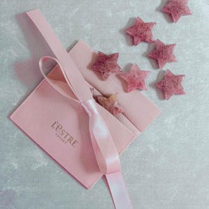 May include: A pink velvet pouch with the text "L'ESTRE THEORY" and a pink satin ribbon. Scattered around the pouch are six star-shaped, pink gemstones. The gemstones have a speckled appearance and are arranged on a light blue-gray surface.