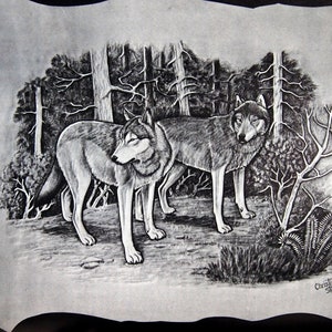 May include: A black and white drawing of two wolves in a forest setting. The wolves are standing close together, with their heads turned towards each other. The drawing is signed "Christine Stanley '77" in the bottom right corner.